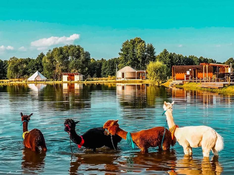 Jurty Glamping Otel Gostynin Dış mekan fotoğraf